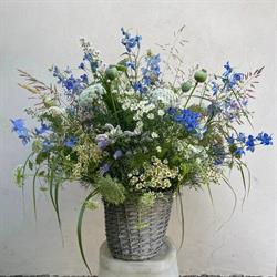 Hortus Contemporaneo, Camaiore orari di apertura