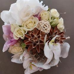 Fiori & Design, Gattinara orari di apertura