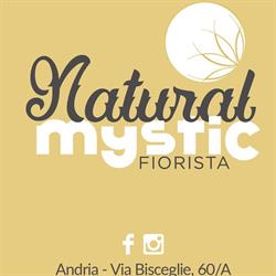 Natural Mystic Fiorista, Andria orari di apertura
