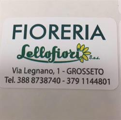 Fioreria Lellofiori, Grosseto orari di apertura