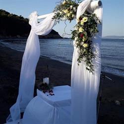 Gemma Fiori & Piante Rio, Rio Marina - Orari di apertura