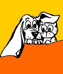 Più cani più belli, Roma orari di apertura