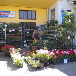 il Mulino La Natura E Le Sue Origini, Pennabilli orari di apertura
