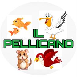 Il Pellicano, Piossasco orari di apertura