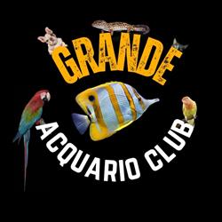 Grande Acquario Club, Palermo orari di apertura
