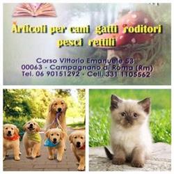 La Foresta Incantata Di Zaffarani Cinzia, Campagnano di Roma orari di apertura