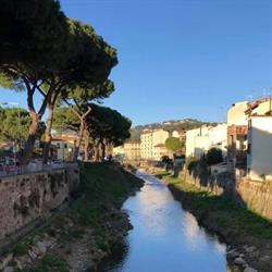 Libreria Puntifermi, Firenze orari di apertura