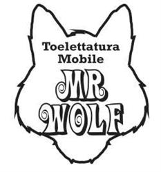Toelettatura Cani Mobile Mr Wolf, Calvagese della Riviera orari di apertura