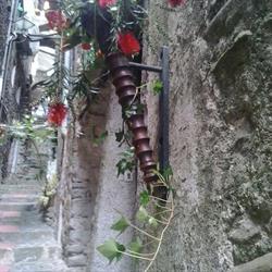 Le Petit Chateau, Dolceacqua orari di apertura