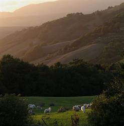 Agriturismo Podere Paugnano, Radicondoli orari di apertura