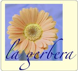 La Gerbera, Levanto orari di apertura