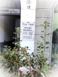 Corte Stella - R.T.A., Codogno orari di apertura