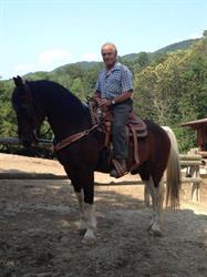 V-RANCH CENTRO TURISMO EQUESTRE, Pavullo nel Frignano orari di apertura