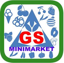 GS minimarket, Roma orari di apertura