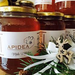 Apidea, Castel San Giorgio orari di apertura