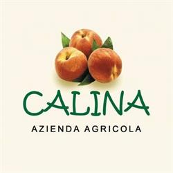 Azienda Agricola Calina, Brescia orari di apertura