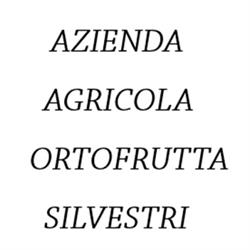 Azienda Agricola Ortofrutta Silvestri, Borgata Marina orari di apertura