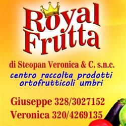 ROYAL FRUTTA, Passaggio orari di apertura