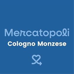 Mercatopoli Cologno Monzese, orari di apertura