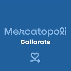 Mercatopoli Gallarate, orari di apertura