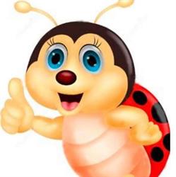 Scuola Dell' Infanzia La Coccinella Cooperativa Sociale Onlus A Respon, Brusciano orari di apertura