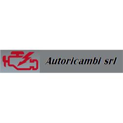 Autoricambi, San Giuliano Milanese orari di apertura