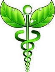 Yoga Ayurveda Naturopatia Massaggi Codroipo, orari di apertura