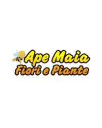Ape Maia, Livorno orari di apertura