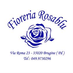 Fioreria Rosablu, Brugine orari di apertura