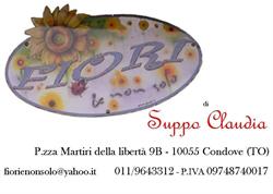 Fiori E Non Solo Di Suppo Claudia, Condove orari di apertura