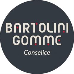 BARTOLINI GOMME DI BARTOLINI ROMANO, Conselice orari di apertura