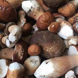 Targa Food Ristorante Pizzeria a Collesano, orari di apertura