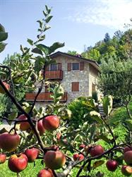 Casa Martina, Zogno orari di apertura