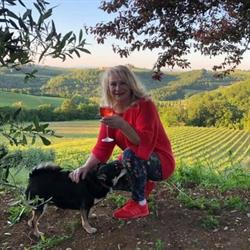 La Valle a Polvereto, Montespertoli orari di apertura