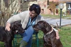 Agriturismo I Moricci, Peccioli orari di apertura