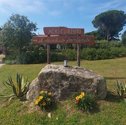 Agriturismo Il Vecchio Fontanile, Pomonte orari di apertura