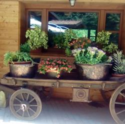 Agriturismo Fontana Nata, Chiusa di Pesio orari di apertura