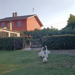 Agriturismo Rosso di Sera, Cugnoli orari di apertura