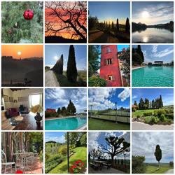 Agriturismo Pallerino, Castelfiorentino orari di apertura