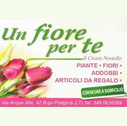 Un fiore per te Latina, Borgo Podgora - Orari di apertura