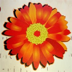 Fiorista Il 7 Di Fiori, Volpiano orari di apertura