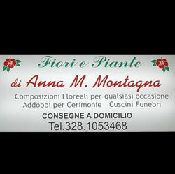 Fiori e Piante di Anna Maria Montagna, Assemini orari di apertura