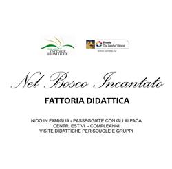 Nel Bosco Incantato - Fattoria didattica - Nido in famiglia - Alpaca Veneto Italia Volpago del Montello, Venegazzù - Orari di apertura