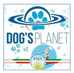Dog's planet, Cernusco sul Naviglio orari di apertura