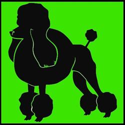 Vanity pets toelettatura cani, Moncalieri orari di apertura