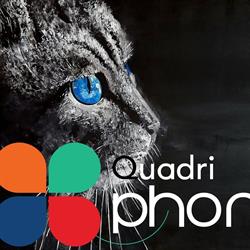 Quadriphone - Servizi & Telefonia, Pavia orari di apertura