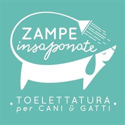 Zampe Insaponate Toelettatura, Borgoricco orari di apertura