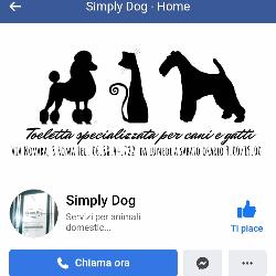 Simply Dog, Roma orari di apertura