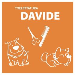 Toelettatura Di Molaschi Davide, Crema orari di apertura
