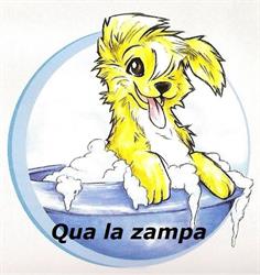 Toelettatura Qua la zampa, Acqui Terme orari di apertura